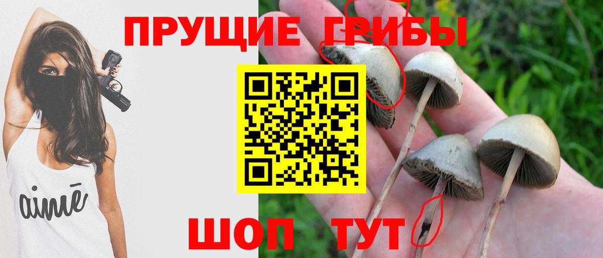 Галлюциногенные грибы GOLDEN TEACHER  Вход с VPN  Керчь 